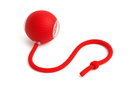 PetBall 360 – A Bola Inteligente Interativa para Pets