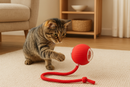 PetBall 360 – A Bola Inteligente Interativa para Pets