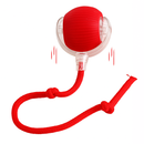 PetBall 360 – A Bola Inteligente Interativa para Pets