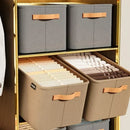 Organizador de Roupas Dobrável - COMPRE 1 LEVE 3